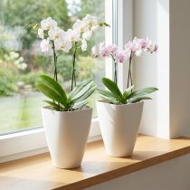 Artikel Plastblomsterpotte, orkidepotte, hvid, 16,5 cm høj, 2 stk.