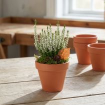 Artikel Urtepotte ler Ø8cm høj 7cm 10stk