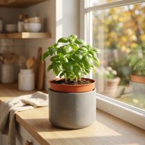 Artikel Plantepotte plast inderpotte Ø10,5cm 10stk