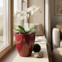 Artikel Orkidépotte skinnende Ø12,5cm Bordeaux 1 stk