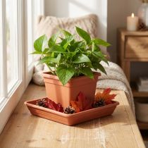 Artikel Coaster Lara firkantet 29cm x 29cm terracotta 1 stk
