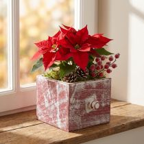 Artikel Plantekasse dekorativ træskuffe shabby chic rød hvid 12cm