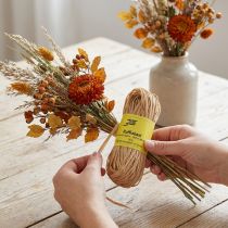 Artikel Raffia 50 g