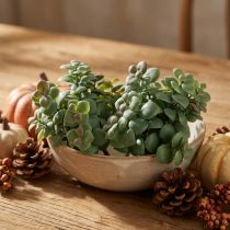 Artikel Kunstige eukalyptus kunstige planter til stikning 18cm 4stk