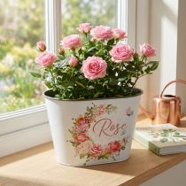 Artikel Plantekasse, dekorative potteroser, blomsterskål L19cm H12,5cm