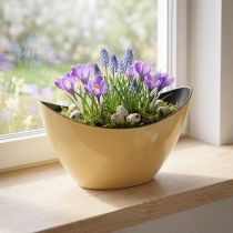 Artikel Plantebåd gul dekorativ skål fjeder 20x9x12cm