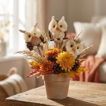 Artikel Ugle dekorative blomsterpropper efterårsdekoration natur Ø4cm H8cm 4stk