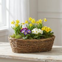 Artikel Naturlig plantepotte af vinstok, oval blomsterpotte, 40x19x11,5 cm