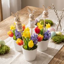 Artikel Blomsterpind Kanintræ Natur, Brun, Hvid L32cm 8 stk