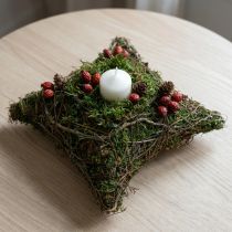 Artikel Plantepude med slyngplanter, mos, planteskål, naturlig 20×20×6,5 cm