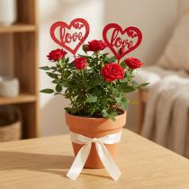 Artikel Blomsterprop hjerte rød pyntestik i træ Love 7cm 12stk