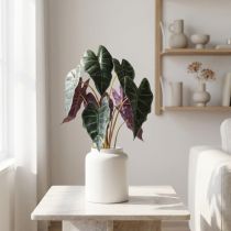 Artikel Alocasia pil bladgrøn, violet kunstplante H48cm