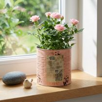 Artikel Blomsterpotte dekorativ dåse laksefarvet metalplanter Ø15,5 cm H15 cm