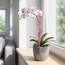 Artikel Orkidépæl, plastik, lyserød, støtte, orkideplantepæl, H64 cm