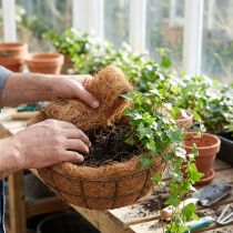 Artikel Kokosfiber naturlig plantefiber naturlig fiber håndværksmateriale 1 kg