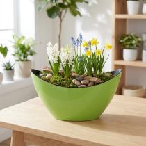 Artikel Plantebåd grøn dekorativ skål oval 20cmx9cmx12cm