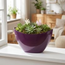 Artikel Plantebåd dekorativ skål lilla 20×9cm H12cm