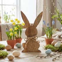 Artikel Kanin i træ, mangotræ, påskedekoration naturfarver H18,5cm