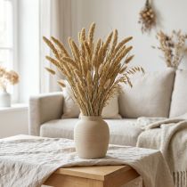 Artikel Tørrede blomster, hirsedekoration, Setaria (rævehirse), 60 g