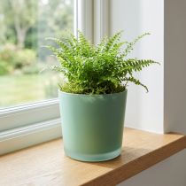 Artikel Glasurtepotte grøn plantekasse glasbalje Ø11,5cm H11cm