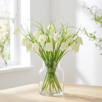 Artikel Skaktern blomster Fritillaria kunsthvid, grøn 40cm 12 stk