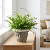 Artikel Kurv med hank, grå og hvid, Ø25 cm, H45 cm, dekorativ plantekurv