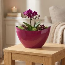 Artikel Plantebåd dekorativ skål skål Berry 20×9cm H12cm