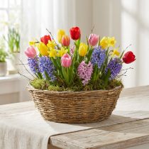 Artikel Stor blomsterskål, plantekurv med slyngplanter, Ø40 cm H13 cm, naturlig dekoration, borddekoration, unikt stykke