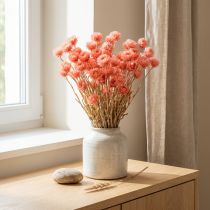 Artikel Tørrede blomster kasket blomster laksehalm blomster H42cm