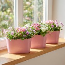 Artikel Planteskål oval pink pynteskål plast 20×10×11cm 3stk