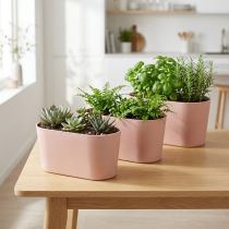 Artikel Planteskål oval pynteskål plast lyserød brun 20×10×11cm 3stk