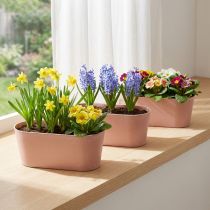 Artikel Planteskål oval pynteskål plast lyserød brun 27×11×10cm 3stk