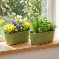 Artikel Planteskål oval grøn skål plast 27×11×10cm 3stk