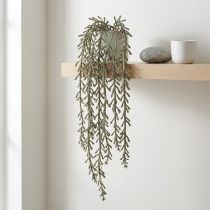 Artikel Sukkulent rullehængende grøn, bronzemetallisk 114cm