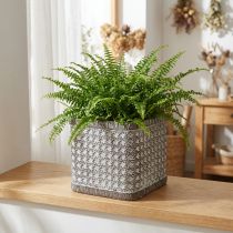 Artikel Plantebakke Plantebakke Keramisk Urtepotte 15×15×15cm