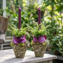 Artikel Plantepotte rustik skovlook Ø12,5 cm H12 cm 2 stk.
