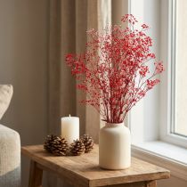Artikel Gypsophila Gypsophila Tørrede Blomster Rød 50cm 55g