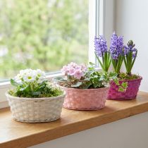 Artikel Chipkurv rund lilla/hvid/pink Ø25cm 6 stk