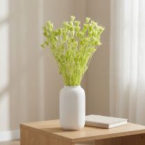 Artikel Tørrede Nigella-blomster, charmerende naturlig rumdekoration til hjemmet, 70 cm, 50 g