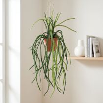 Artikel Rhipsalis kunstig koralkaktus hængende kurv H87cm