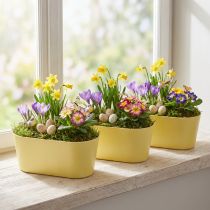 Artikel Planteskål oval pynteskål plast gul 27×11×10cm 3stk