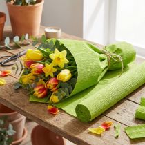 Artikel Blomsterhandler crepepapir græsgrøn 50x250cm