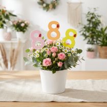Artikel Jubilæumsnummer "8" farverigt talstik træ 7,5cm 16 stk