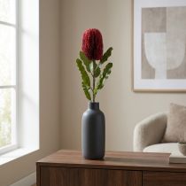 Artikel Kunstig blomst Banksia Rød Bourgogne Kunstig eksotik 64cm