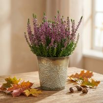 Artikel Plante til efterår, metalpotte med bladdekoration, gylden planter Ø10cm H10cm