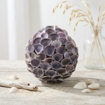 Artikel Skalkugle Maritim dekoration med skaller Dekokugle violet Ø12cm