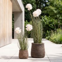 Artikel Kunstige blomster dekorativ kugleblomst allium prydløg kunstig 54cm