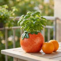 Artikel Middelhavs dekorativ orange vase urtepotte keramik Ø9cm