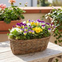 Artikel Plantekurv kurv oval ranke naturlig planteskål L30cm