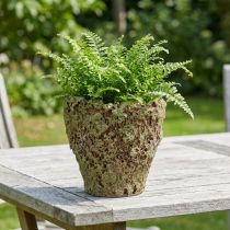 Artikel Plantepotte rustik mos-look Ø17cm H16,5cm